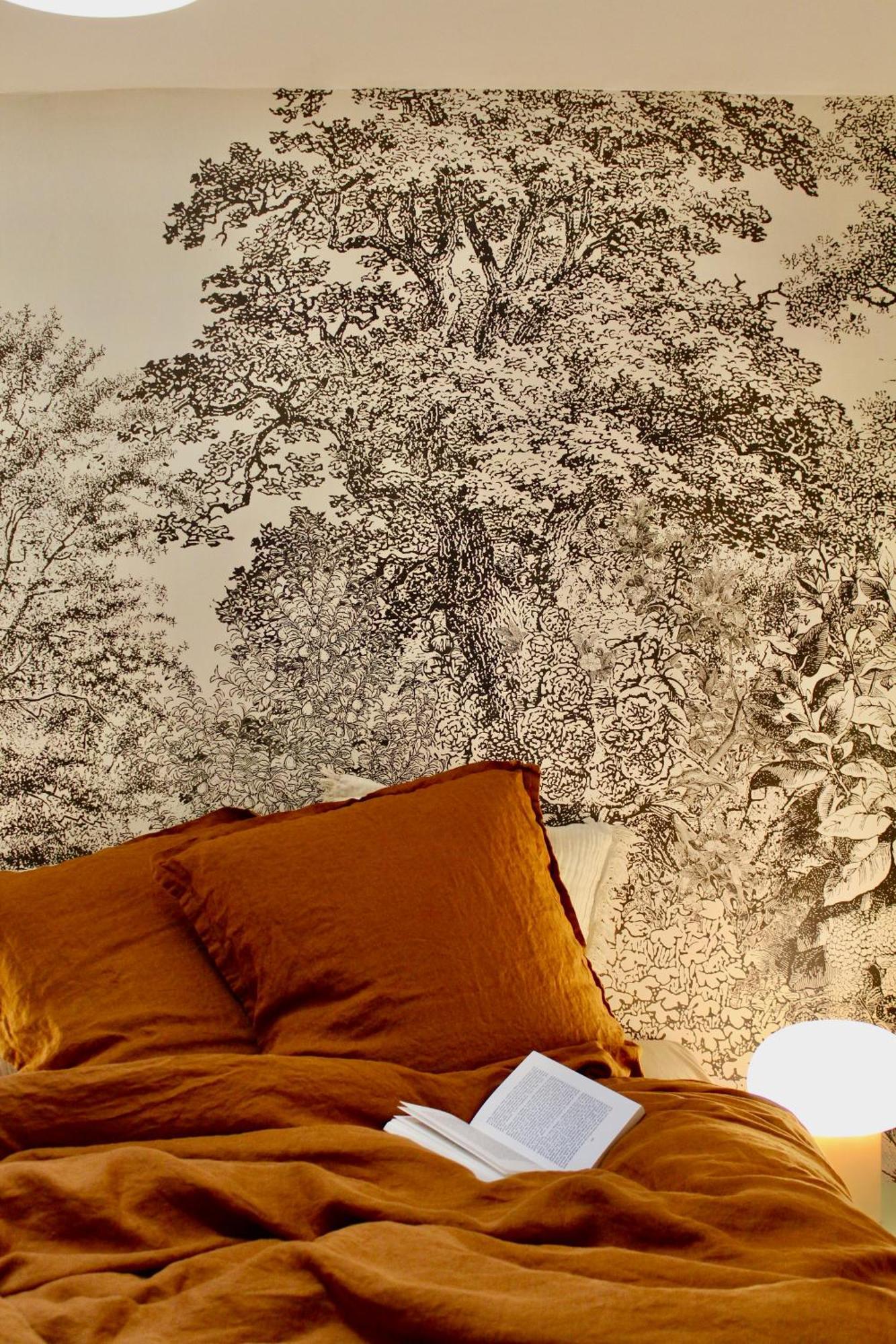 Maison Merci - Maison D'Hotes Каркассонн Екстер'єр фото